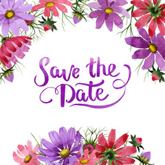 Wildflower kosmeya flower frame in a watercolor style isolated.