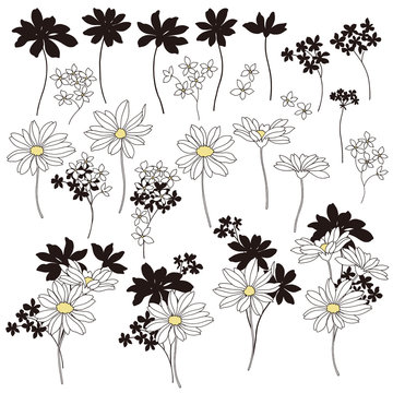 21 019 件の最適な マーガレット 画像 ストック写真 ベクター Adobe Stock