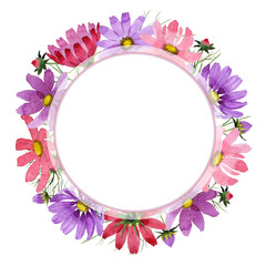 Wildflower kosmeya flower frame in a watercolor style isolated.