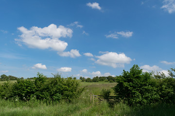 Fototapeta premium Countryside