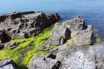 Big Sea Rocks With Moss And Seaweed