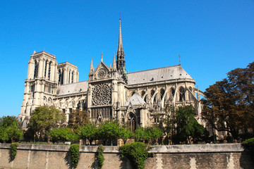 Obraz premium Cathedral of Notre Dame de Paris, France