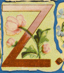 Decorative Flower Alphabet - Z. Date: 1890s