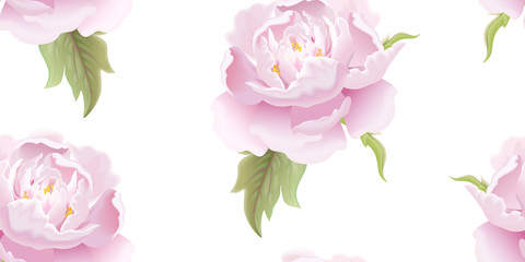 Seamless floral pattern with peony.