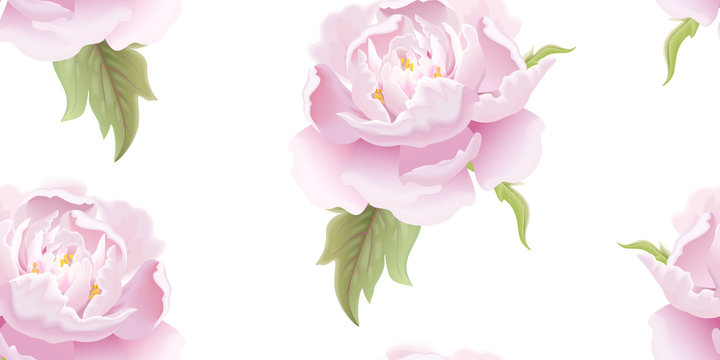 Seamless floral pattern with peony.