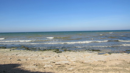 Plage de lion sur mer