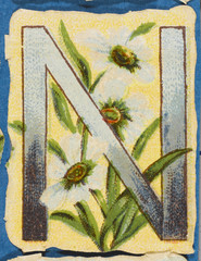 Decorative Flower Alphabet - N. Date: 1890s