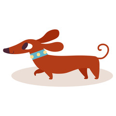 Cute brown cartoon dachshund in a blue collar isolated on white background. Simple modern flat style vector illustration.