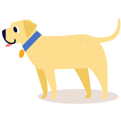 Cute cartoon golden retriever in a blue collar isolated on white background. Simple modern flat style vector illustration.