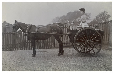 Dairy Woman in Her Cart. Date: circa 1905