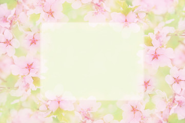 Spring blossom/springtime cherry bloom frame, toned, bokeh flower background, pastel and soft floral card