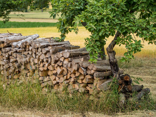 Brennholzlager