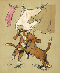 Twin puppies and washing line. Date: 1910