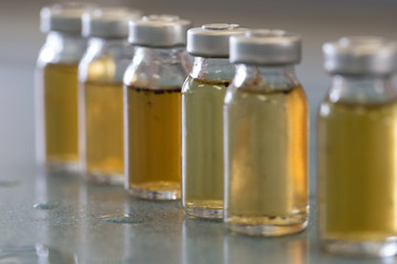 Bacteria in culture medium test tube for education in Laboratory.