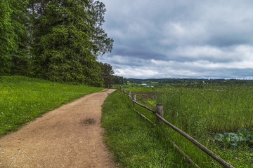 Rural summer landscape