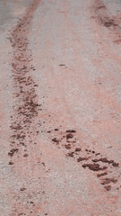 Asphalt road with tyre track leave laterite on ground