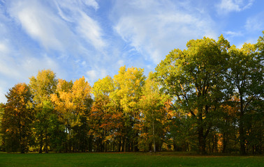 Naklejka premium Park in red and orange colors