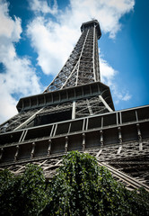 Eiffel tower and green bush. Summer vacation  in Paris (France)