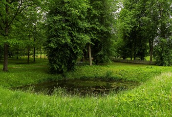 Summer landscape, pond and trees