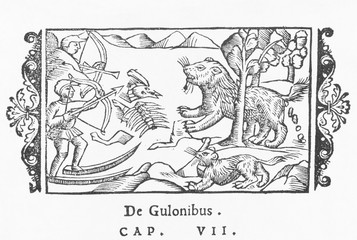 Obraz premium Gluttonous Gulon. Date: 1555