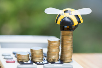 Growing coins and calculator on wood table with bee toy on green tree bokeh background.