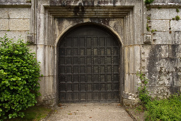A 19th century wooden door