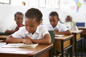 Fototapeta na wymiar Schoolgirl reading at her desk in elementary school lesson