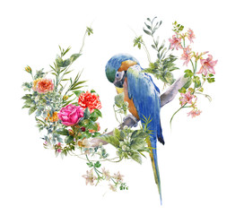 watercolor painting with bird and flowers, on white background