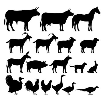 Silhouettes of Farm Animals