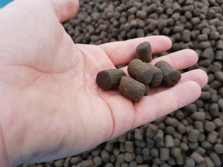 Tuna pellet in Japan