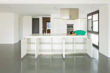 Man and kitchen in love