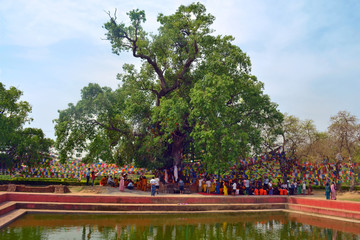 Lumbini, Nepal - birthplace of Buddha Siddhartha Gautama.