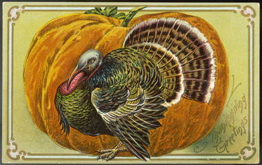 Turkey and Pumpkin. Date: 1907