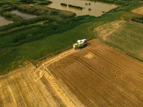 Aerial view of combine harvester harevsting wheat