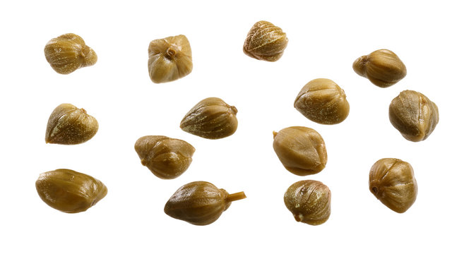 Capers-buds of Capparis spinosa, path