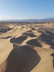 Sand dunes in the evening
