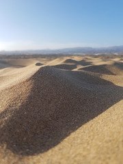 Sand dunes in the evening light