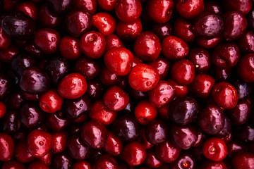 Cherries background. Sweet red cherries
