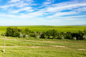 Fototapeta na wymiar Nature in the steppe of Kazakhstan in the spring