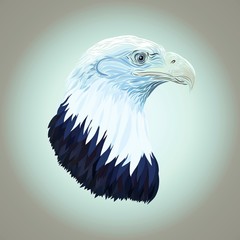 eagle