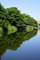 福岡城跡舞鶴公園お堀の景色