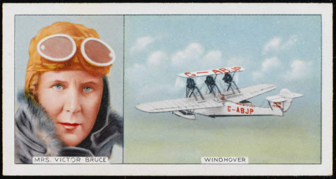 Bruce - Windhover