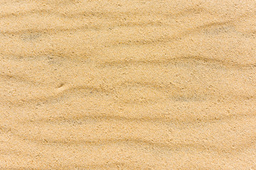 Fototapeta na wymiar Top view of a sand sea bottom