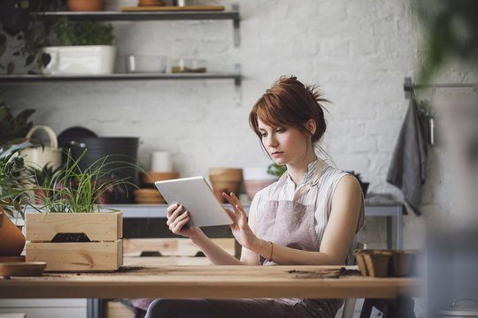 Florist using digital tablet
in workshop