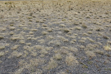 Mountain top texture