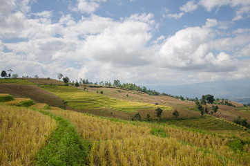 Pa Pong Piang Rice terraces, Mae Cham, Chiang Mai, Thailand.