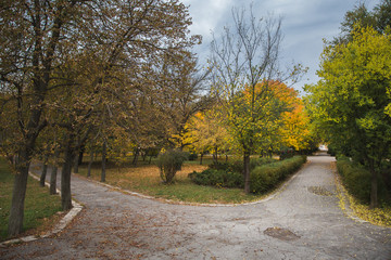 Autumn Park