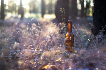 Dirty brown beer bottle on the ground in the grass. Environmental pollution. Destruction of nature.
