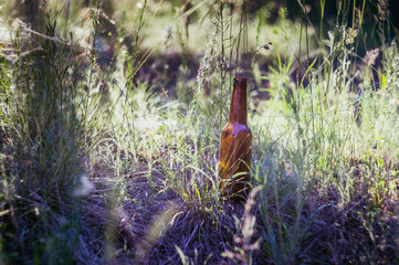 Dirty brown beer bottle on the ground in the grass. Environmental pollution. Destruction of nature.