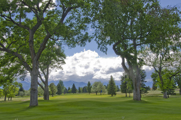 Fototapeta na wymiar Salida Golf Course and Mountain Views